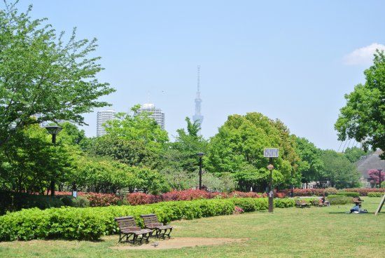 木場公園